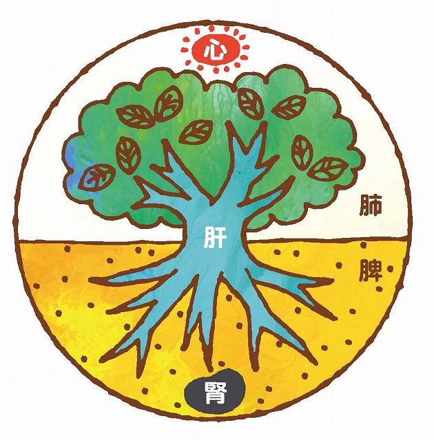 肝木の図