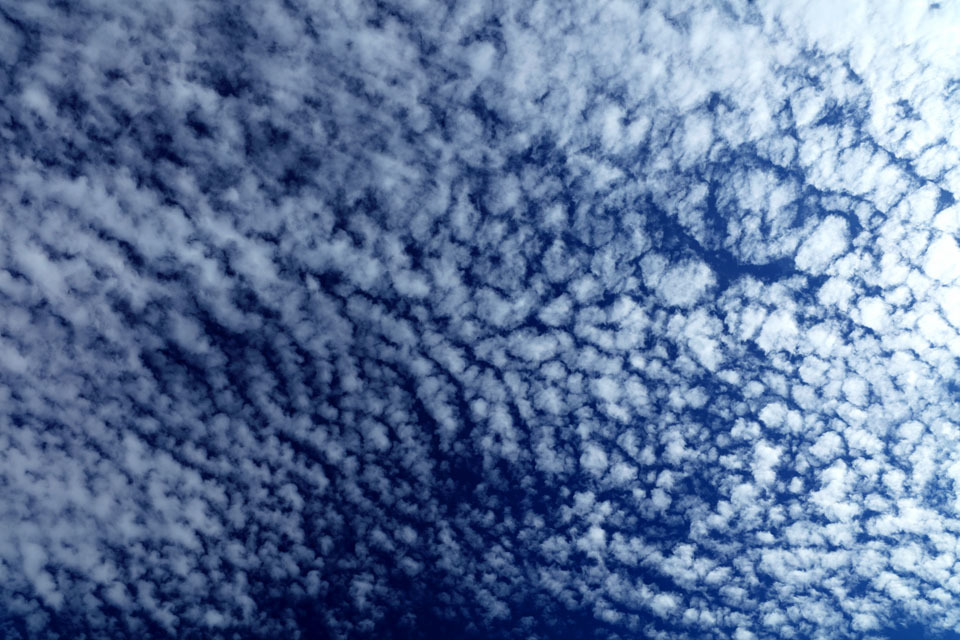 標本用の巻積雲