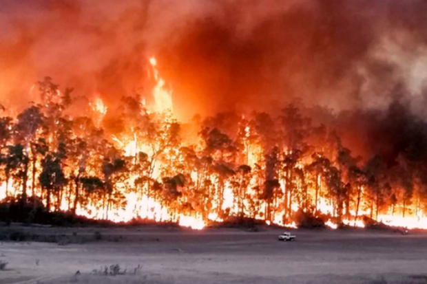 オーストラリア 火事 原因