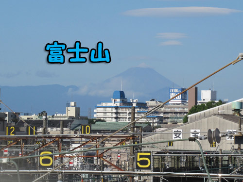 久し振りに見えた富士山