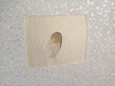 壁の穴の補修