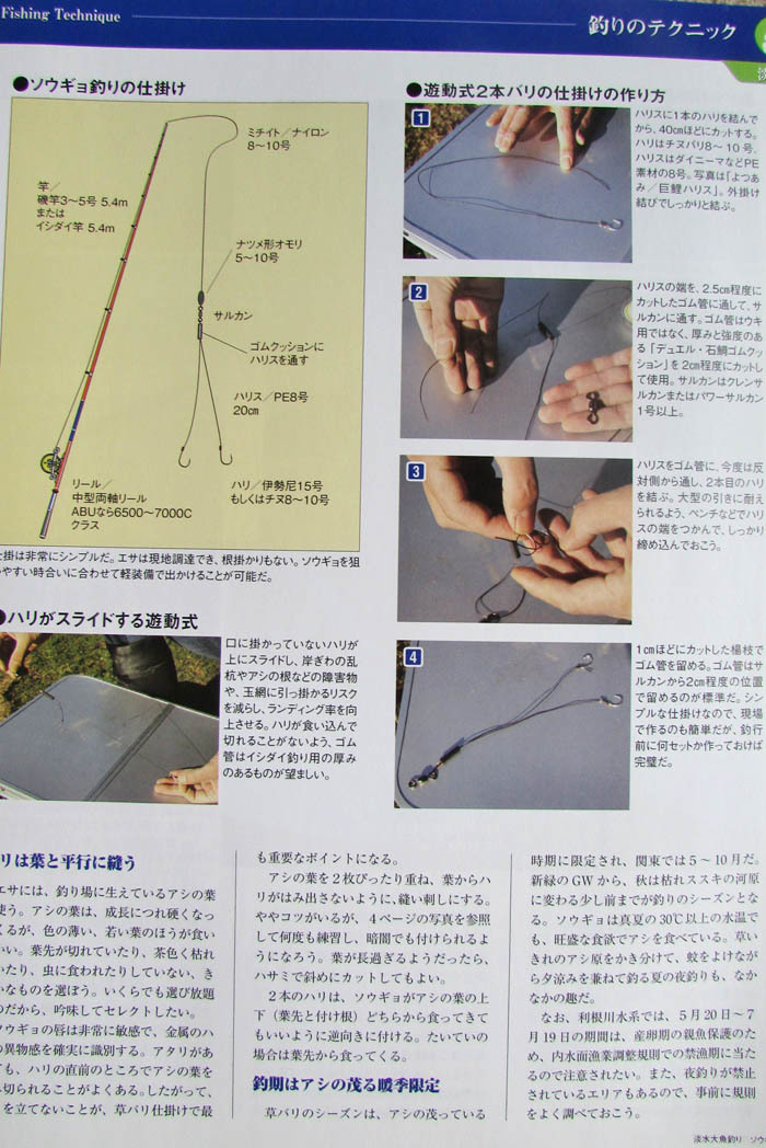 週刊日本の魚釣り vol.29 | 人魚はご機嫌ななめ♪
