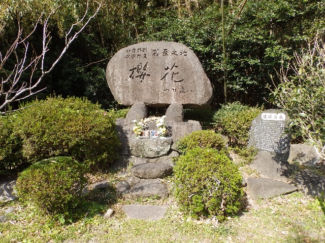 桜花の碑001