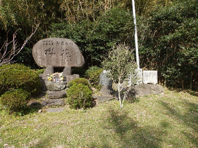 桜花の碑006