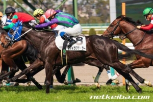 日本一早い特別登録馬おすすめ 10 27 28 天皇賞秋の資金を稼げ Jra銀行とともに生きていく