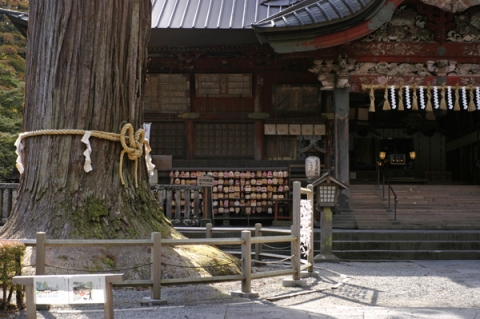 北口本宮富士浅間神社の境内