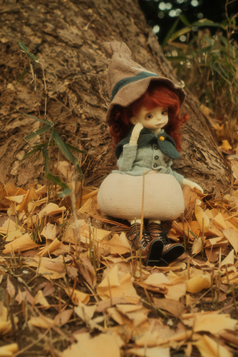 DOLLZONE・Pumpkinのクルル。落ち葉の公園へ、冬のお散歩に行きました。