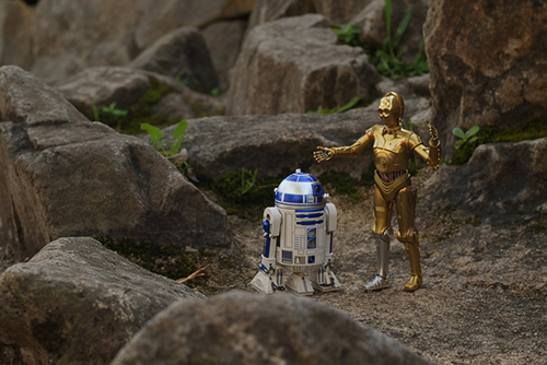 ツバキアキラが撮った、S.H.フィギュアーツのC-3POとR2-D2。極秘任務を遂行したいR2-D2と、その行動に呆れるC-3PO。