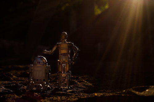 ツバキアキラが撮った、S.H.フィギュアーツのC-3POとR2-D2。後ろ姿のC-3POとR2-D2。