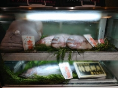 【新店】JAPANESE FISH NOODLE うみのチカラ－５