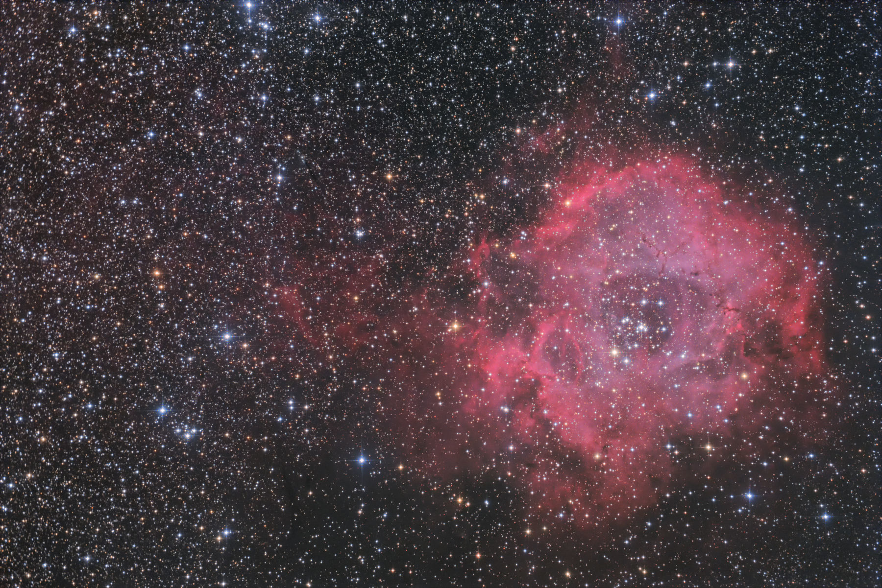 【星雲】NGC2237 バラ星雲 毒の吐息添えッ！！