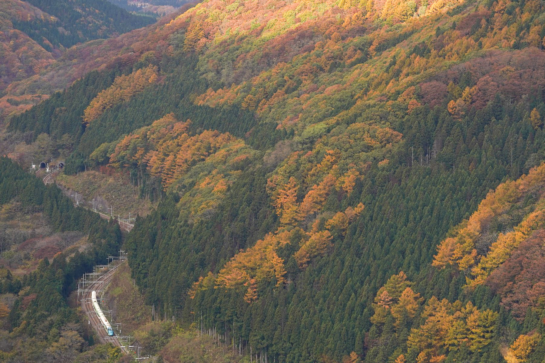 20191110_板谷峠を下る山形新幹線「とれいゆ つばさ」送り込み回送
