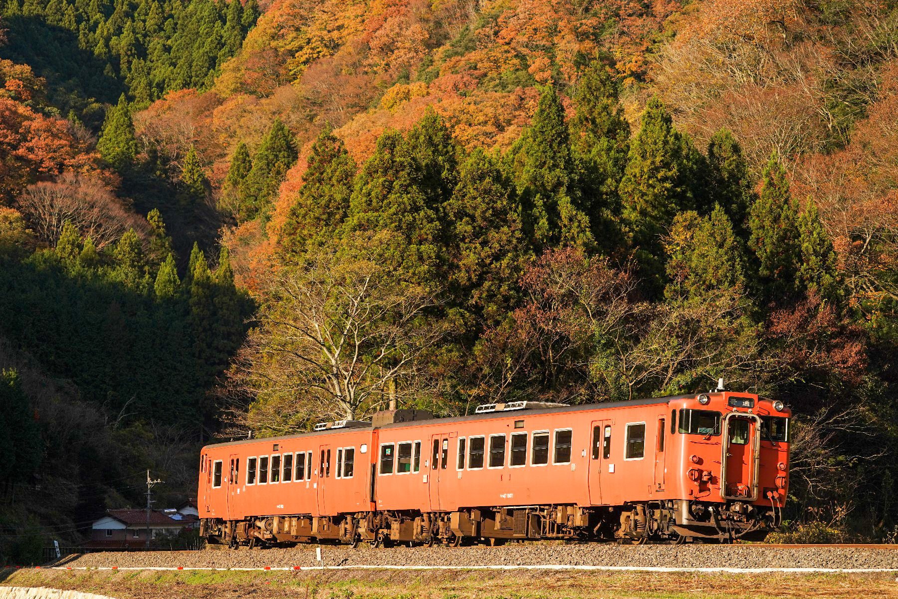 20191124_西日を浴びて津和野へ向かう普通列車（665D）